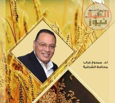 تسابق مراكز ومدن محافظة الشرقية في زراعة و حصاد سنابل القمح الذهبية