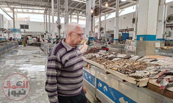 رئيس شعبة الأسماك بتجارية الإسماعيلية يعلن إنخفاض اسعارها 30 %