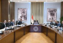 رئيس الوزراء يتابع إجراءات طرح إدارة وتشغيل مشروع "حدائق تلال الفسطاط"